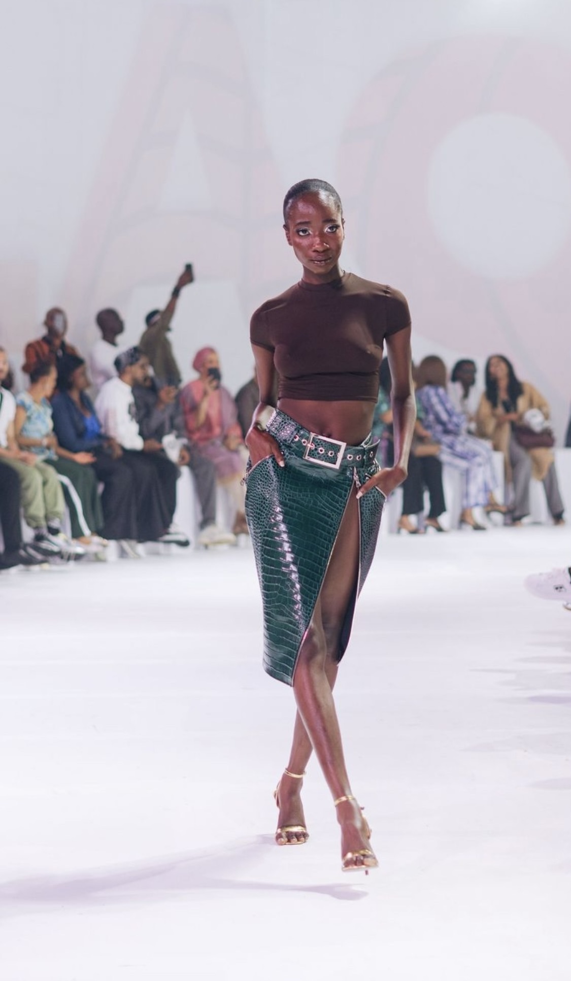 Description of the image