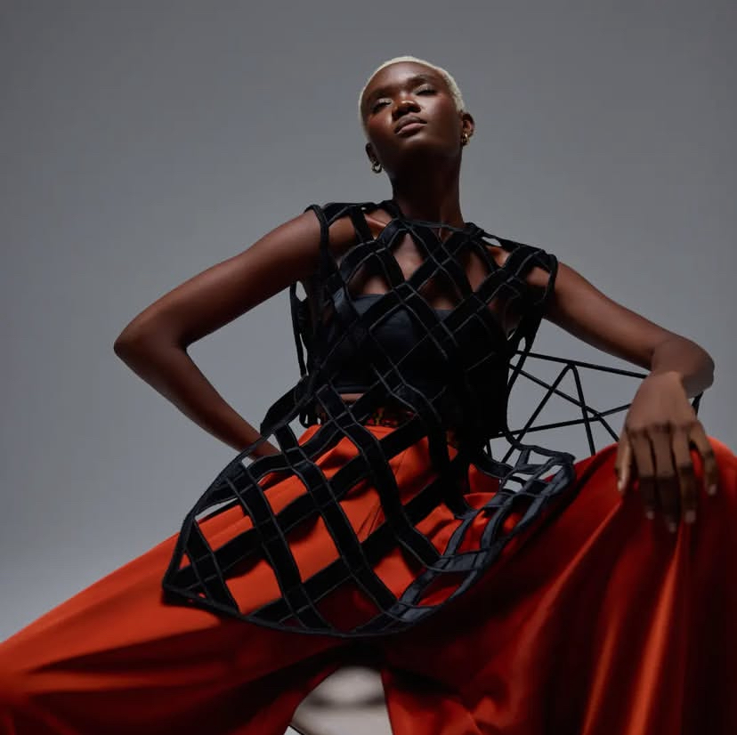 Description of the image